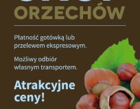 skup orzechów laskowych