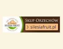 Skup orzechów laskowych