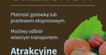 SKUP orzechów laskowych