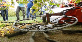 Kombajn do zbioru orzechów Jully 1800 w akcji 