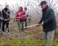 Pokaz cięcia leszczyny Marian Ścibior