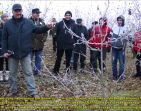 Pokaz cięcia leszczyny Marian Ścibior