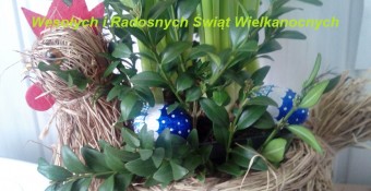 Zdrowych i Wesołych Świąt Wielkanocnych
