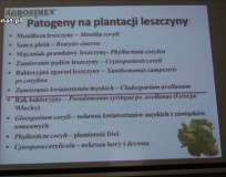 Choroby leszczyny
