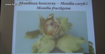 Drodzy Producenci Orzecha Laskowego