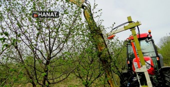 Cięcie mechaniczne i korekcyjne leszczyny