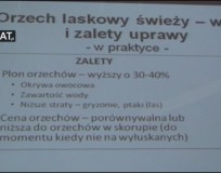 Zalety uprawy orzechów w praktyce
