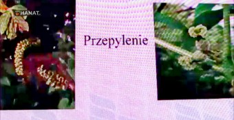  Sadownictwo z przyszłością. Orzech włoski i laskowy - dr Tomasz Lipa .
