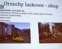 Skup orzecha laskowego