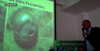 Szkodniki. Program ochrony leszczyny z chorobami i szkodnikami 